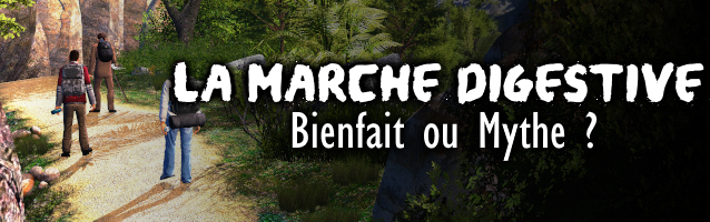 La Marche Digestive : Bienfait ou Mythe ?